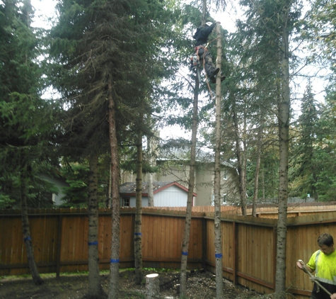 Far North Tree Services - Wasilla, AK