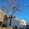 H & M Tree Service Inc gallery