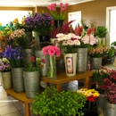 The Flower Cupboard - Florists