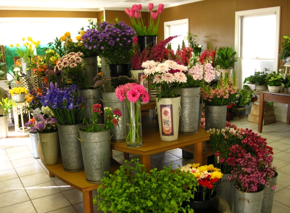 The Flower Cupboard - Cary, NC