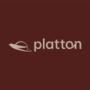 PLATTON INC