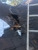 American Roofing - Roofing Contractors