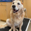 Petsense by Tractor Supply gallery