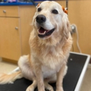 Petsense by Tractor Supply - Pet Stores