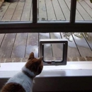 Cat Flap Fever Industries - Pet Stores