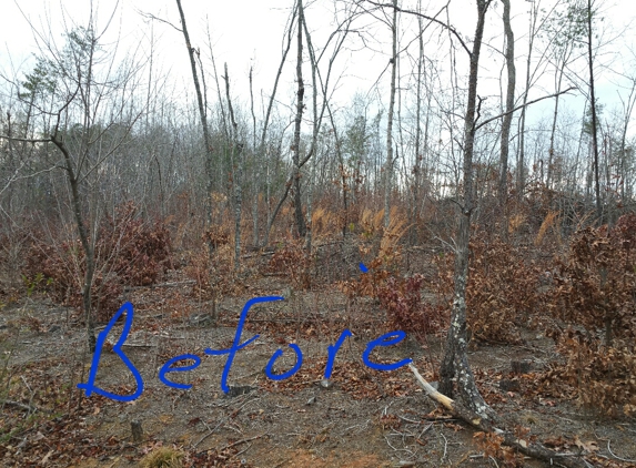 Carolina Ground Services - Morganton, NC. Clear cut before