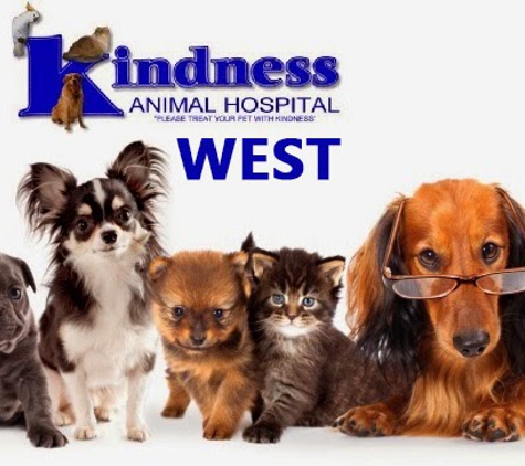 Kindness Animal Hospital (West), A Thrive Pet Healthcare Partner - Cape Coral, FL