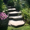 Hamptons Lawn & Home Service gallery