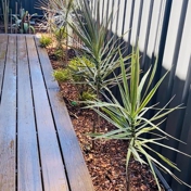Gallery Image Number 4