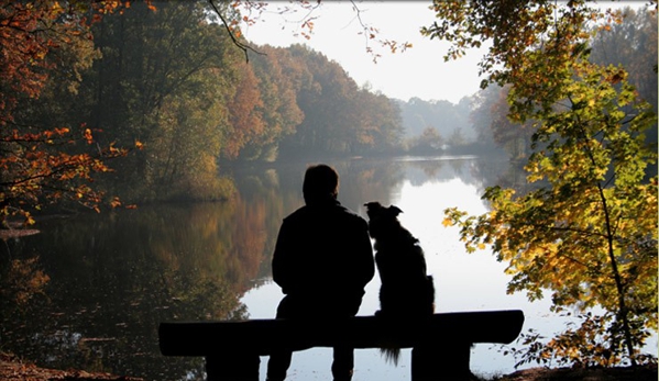 Best Friends A Pet Crematorium - Jackson, MS