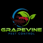 Grapevine Pest Control
