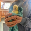 Bear Creek Animal Hospital - Hostels