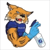 Wildcat Clean Team gallery