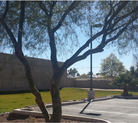 Tempe Veterinary Hospital - Tempe, AZ