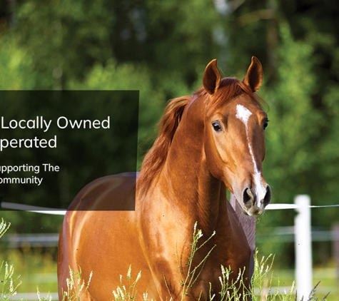 Mega Merch Rural & Pet - Alfredton, VIC. Fencing, Feed, Pet Foods, Bedding, Health Care