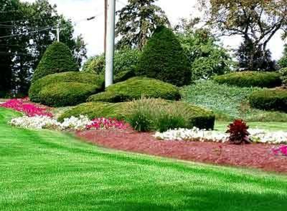 Scheetz Tree Service and Landscaping - Quakertown, PA