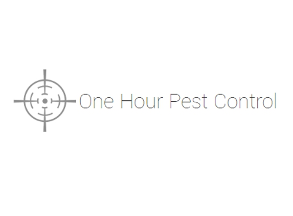 One Hour Pest Control - Brooklyn, NY