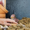 Eako Pest Control - Pest Control Equipment & Supplies