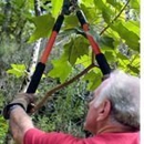 Sherman Oaks Tree Service - Gardeners