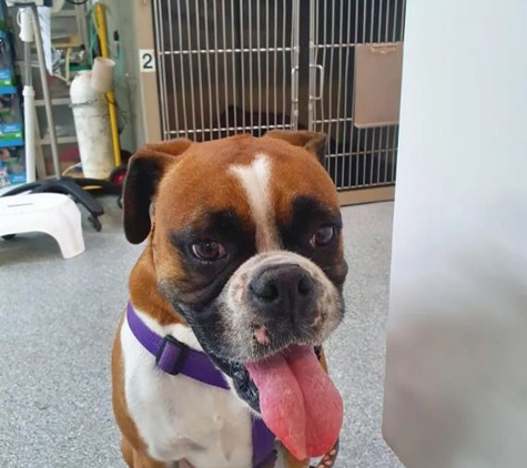 University Avenue Vet Hospital - Durack, NT