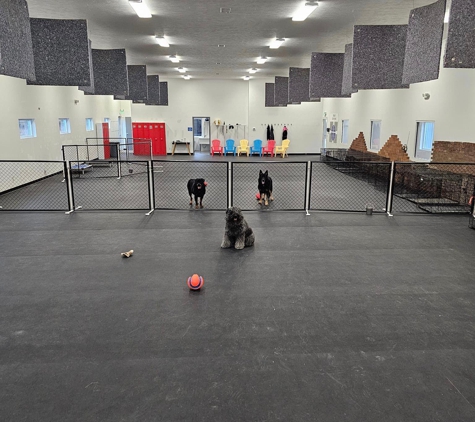 Sport Dogs Complex - Elkhart, IN