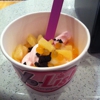 Yo-Lish Yogurt gallery