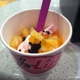 Yo-Lish Yogurt