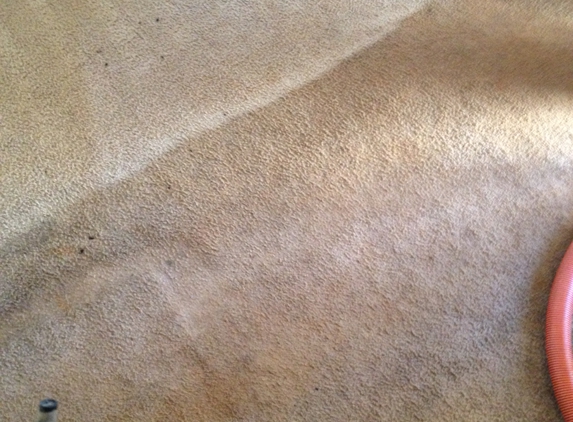 Around the Bay Carpet Cleaning