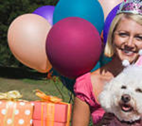 Grafton Hire - South Grafton, NSW