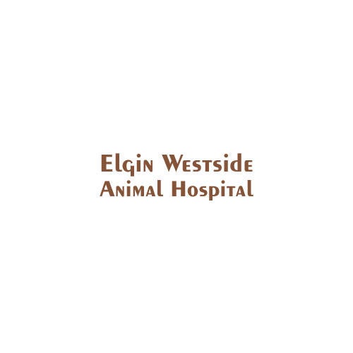 Elgin Westside Animal Hospital - Elgin, IL 60123