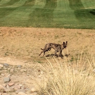 Stonecreek Golf Club - Phoenix, AZ