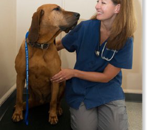 North Lexington Veterinary Clinic - Lexington, KY