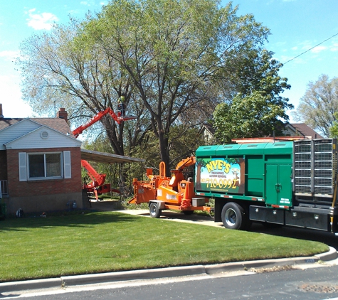 Nye's Tree Service & Stump Removal