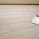 Eco Clean Carpet Cleaning Services