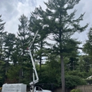 The Tree Guy Services LLC - Tree Service