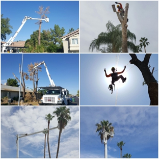 Arborist Standards Tree Care - Cottonwood, AZ. #treeservicecottonwood
#treeremovalcottonwood