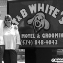T & B White's Grooming - Pet Grooming