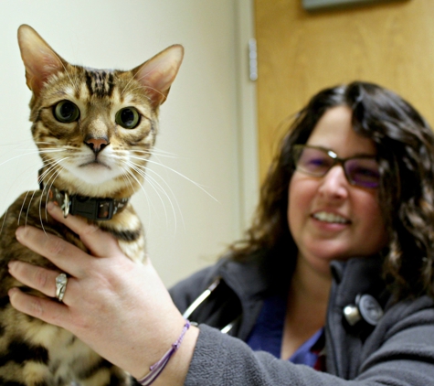 Akron Veterinary Referral & Emergency Center - Copley, OH