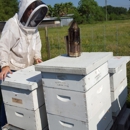 Delpa Bee Removal - Bee Control & Removal Service
