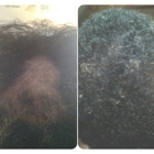 Black Hair Care By Justine