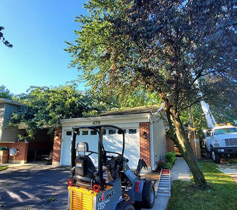 Angeles Tree Service, Inc - Aurora, IL