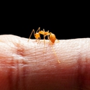 Miche Pest Control - Pest Control Equipment & Supplies