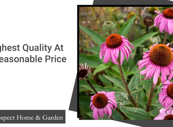 Prospect Home & Garden - Prospect, SA. Highest Quality At A Reasonable Price