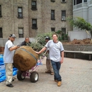 New York Plantings - Landscape Designers & Consultants