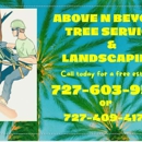 ABOVE & BEYOND TREE SERVICE - Tree Service