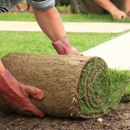 Affordable Stump Grinding & Tree Service - Landscape Contractors