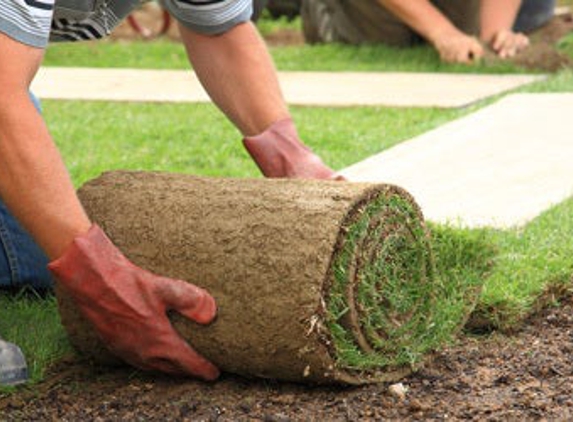 Affordable Stump Grinding & Tree Service - Willow Spring, NC