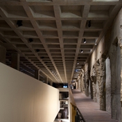 Gallery Image Number 7