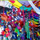 Dr. Gravity's Kite Shop - Kites-Retail