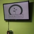 Seedling Marketing Group LLC